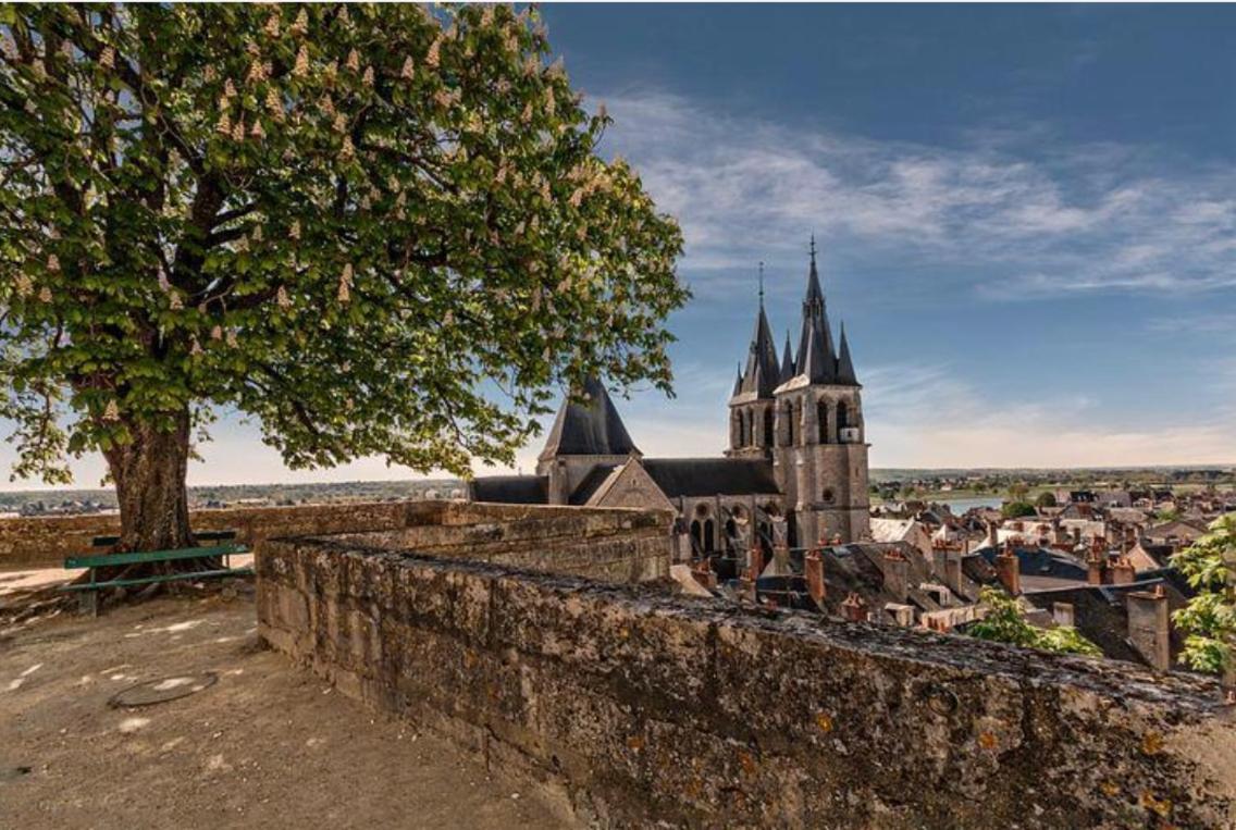 Appartement Coeur De Blois /Heart Of The City Ngoại thất bức ảnh